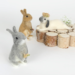 微型羊毛氈兔橙色Utachi |荷蘭小矮人迷你S兔子手騎 第5張的照片