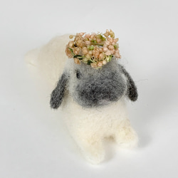 微型羊毛氈兔荷蘭落灰| Ropyear灰色迷你S兔子手騎 第3張的照片