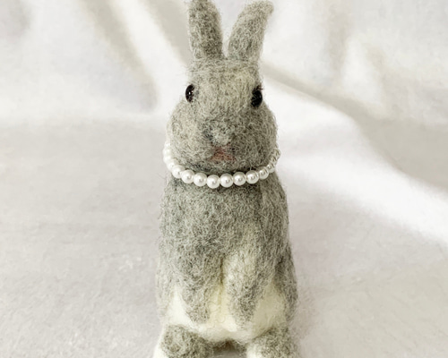 ウサギ☆ ネザーランドドワーフ No.722 売約済 販売ベビー バニー