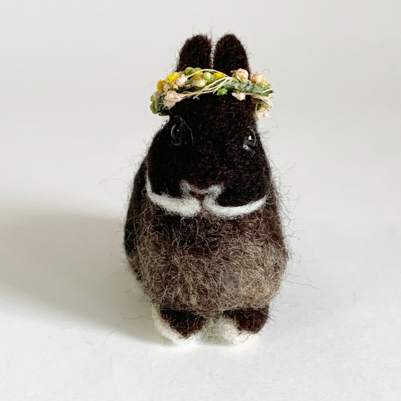 うさぎ 羊毛フェルト ダッチ ブラック ハンドメイド 羊毛うさぎM*ダッチブラック*立ち耳*毛づくろい（お祈り