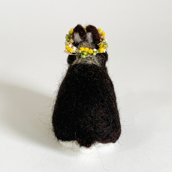 羊毛氈兔微型荷蘭矮人黑水獺含羞草花冠|迷你尺寸S兔手騎 第2張的照片