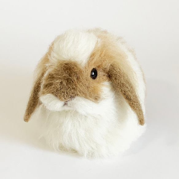 【免運費】毛氈兔子Amephazirop ｜垂耳寵物兔子手工製作 第1張的照片