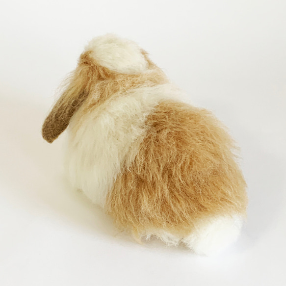 【免運費】毛氈兔子Amephazirop ｜垂耳寵物兔子手工製作 第3張的照片