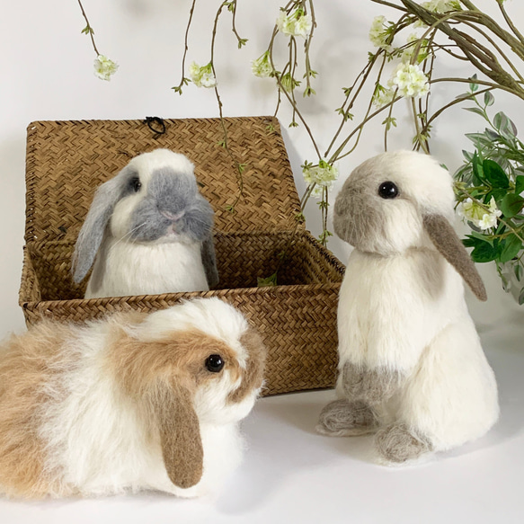 【免運費】毛氈兔子Amephazirop ｜垂耳寵物兔子手工製作 第7張的照片