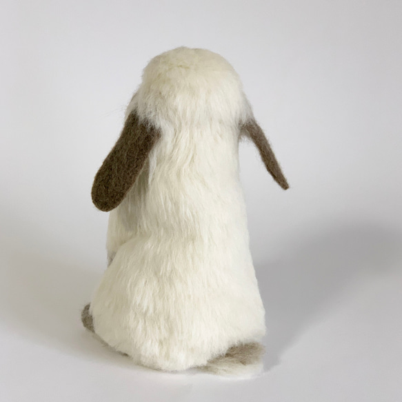 【免運費】毛氈兔荷蘭垂耳兔Utachi ｜垂耳寵物兔手工製作 第4張的照片