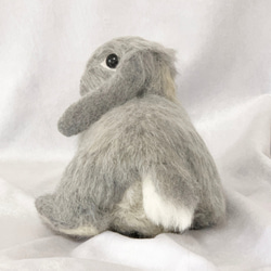 【免運費】毛氈兔子荷蘭灰灰色放鬆｜ Dag Ear Pet Rabbit Rabbit Handmade 第2張的照片