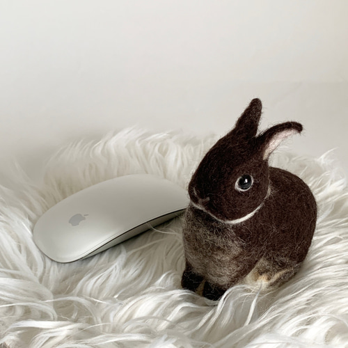 羊毛フェルト うさぎ ネザーランドドワーフ ブラックオター