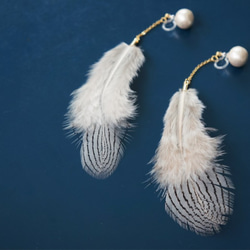 2WAY stripe feather earring　（樹脂イヤリング） 1枚目の画像