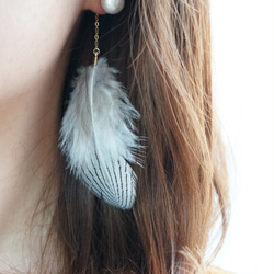 stripe feather pierce 第3張的照片