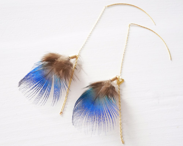 Peacock feathers pierce 1枚目の画像