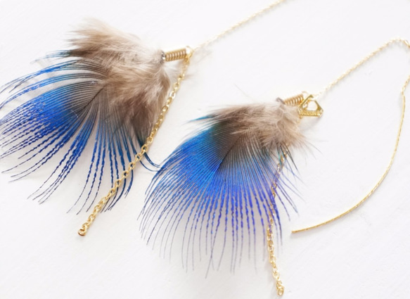 Peacock feathers pierce 2枚目の画像