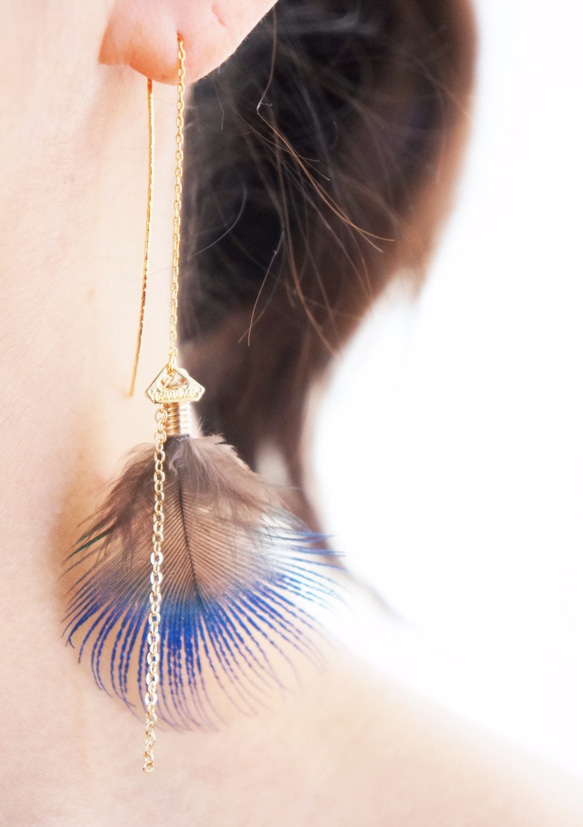 Peacock feathers pierce 第3張的照片