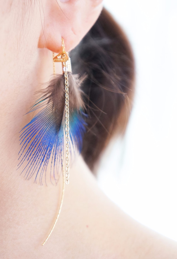 Peacock feathers pierce 第4張的照片