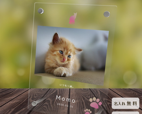 0_bf7b8d24b4b7e5e51245b58ab5f8