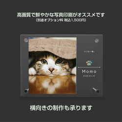 【名入れ無料】 フォトフレーム サイズL ペット ペットグッズ 写真立て フォトスタンド ペット用品 cat013l 5枚目の画像