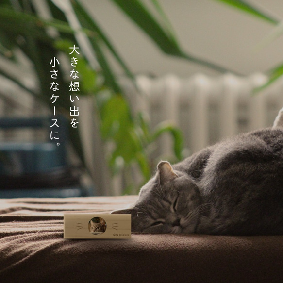【 メール便 送料無料 】 猫のひげケース 写真 ヒゲ 髭 ネコ ねこ メモリアル 松 保管 お守り 猫のひげ入れ 6枚目の画像