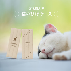 【 メール便 送料無料 】 猫のひげケース シルエット ヒゲ 髭 ネコ ねこ メモリアル 松 保管 お守り 猫のひげ入れ 1枚目の画像