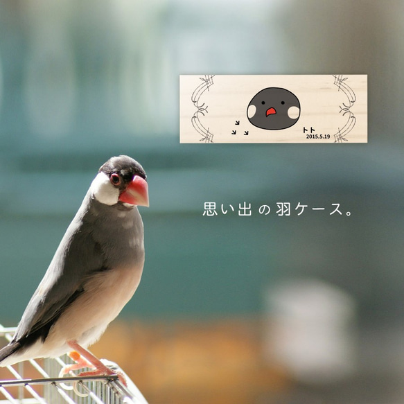 【名入れ無料 メール便 送料無料】鳥の羽根ケース リース イラスト 絵 羽根 はね 鳥 とり インコ ヨウム アヒル 6枚目の画像