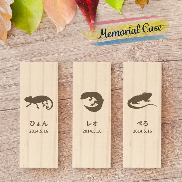 【名入れ無料 メール便 送料無料】爬虫類の抜け殻ケース シルエット 抜け殻 ぬけがら 爬虫類 両生類 ヘビ カメレオン 1枚目の画像