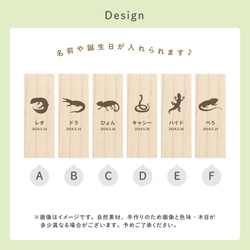 【名入れ無料 メール便 送料無料】爬虫類の抜け殻ケース シルエット 抜け殻 ぬけがら 爬虫類 両生類 ヘビ カメレオン 2枚目の画像