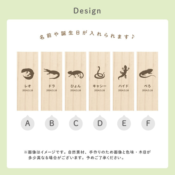 【名入れ無料 メール便 送料無料】爬虫類の抜け殻ケース シルエット 抜け殻 ぬけがら 爬虫類 両生類 ヘビ カメレオン 2枚目の画像