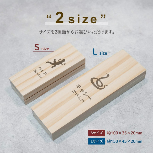 【名入れ無料 メール便 送料無料】爬虫類の抜け殻ケース シルエット 抜け殻 ぬけがら 爬虫類 両生類 ヘビ カメレオン 3枚目の画像