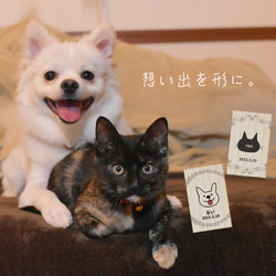 【名入れ無料】送料無料 いぬ・ねこ つめケース リース 犬・猫 爪ケース 乳歯ケース いぬ イヌ 犬 ねこ ネコ 猫 6枚目の画像