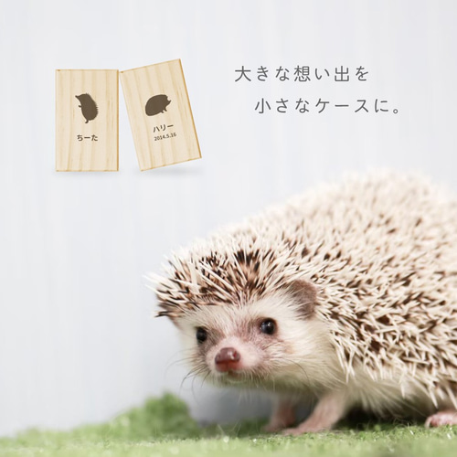 名入れ無料】送料無料 ハリネズミの針ケース シルエット 針 ハリ はり