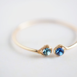 【ワイヤーリングオーダー】 ddf0887675b3e6ac9b8710e18e2b46