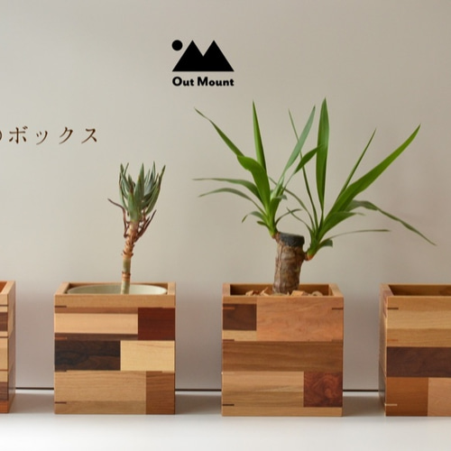 古九谷 三ツ鉢 木箱付き 古九谷 三ツ鉢 木箱付き