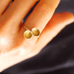 [現貨銷售]黃銅Shishimi-chan戒指編號17大小1件限量 第1張的照片