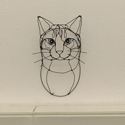 猫 3Dワイヤーアート (オーダー可) 10枚目の画像