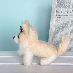 ロングコートチワワ（クリーム）の羊毛フェルト　犬 3枚目の画像