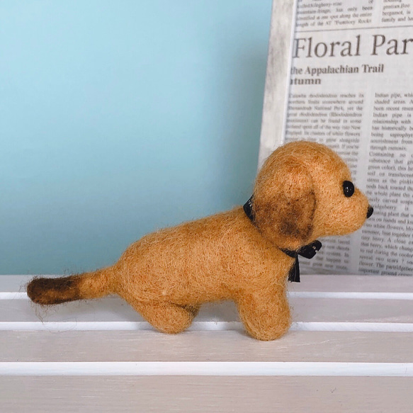 ミニチュアダックス（茶）の羊毛フェルト　犬 4枚目の画像