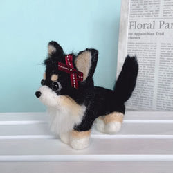 ロングコートチワワ(黒)の羊毛フェルト　犬 3枚目の画像