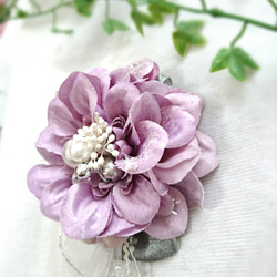 淺紫色胸花瘸 第1張的照片
