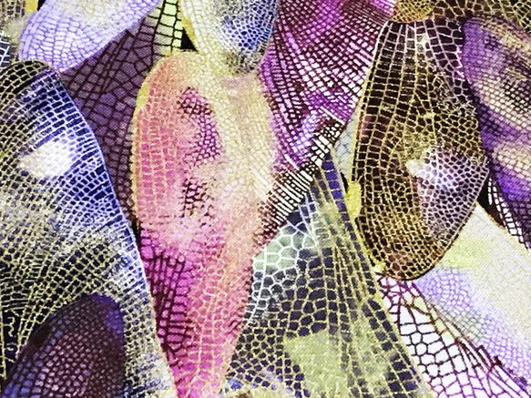 Maria Kalinowski 110cm x 50cmずつ切売 - 蜻蛉の羽根/Purple 3枚目の画像