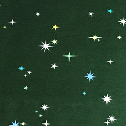 Lizzy House 110cm x 50cm 星空/Green 1枚目の画像