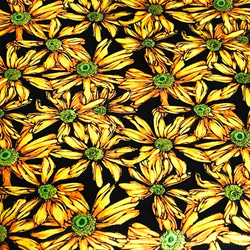 Cedar West 110cm x 50cm 太陽の花/Yellow S 2枚目の画像