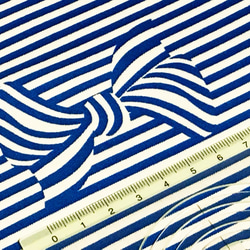 Fiveloaves twofish 110cm x 50cmずつ切売 - Ribbon stripe/Blue 3枚目の画像