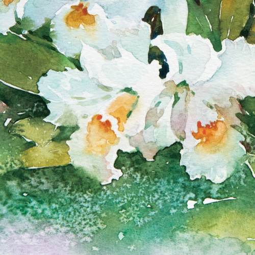 白いカラー　水彩画 91DJb9Si8cL._AC_UF1000,