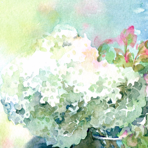 夏歌】透明水彩 ジークレー・オリジナル版画 180×180mmサイズ