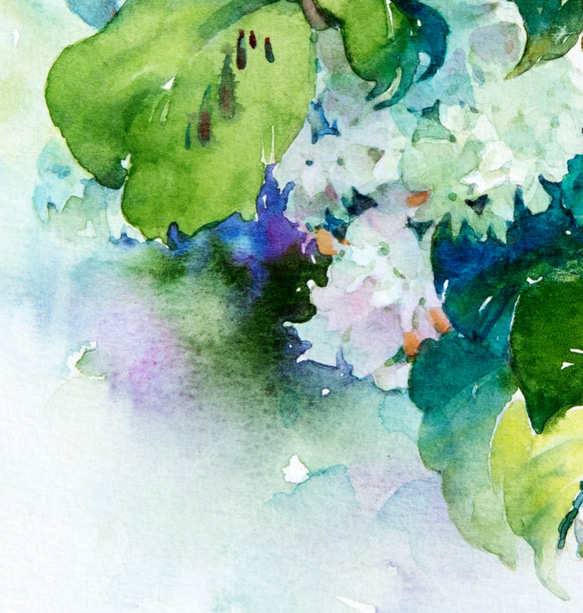 【爽やかに香る】透明水彩　ジークレー・オリジナル版画 180×180ｍｍサイズ〜 3枚目の画像