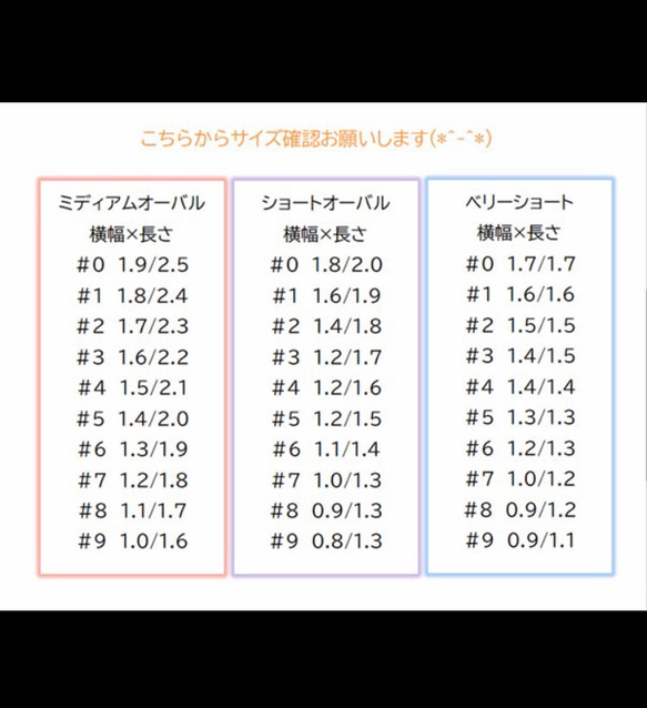 サイズ確認用チップ 4枚目の画像