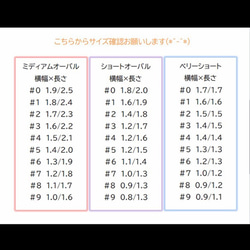 《№43》超王道のフレンチデザイン 3枚目の画像