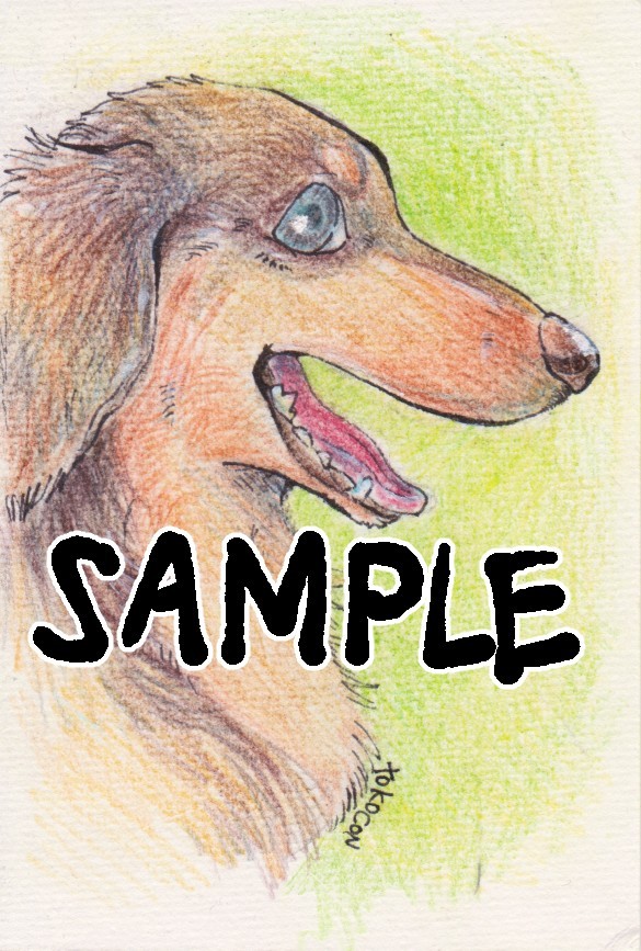 イラストオーダー受付 犬 色鉛筆 リアル色鉛筆画 【原画】No.1 犬の絵 絵画 鳳雛色鉛筆画家 通販