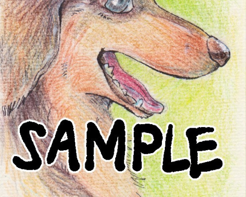 似顔絵イラストオーダーsample☆ ペットのイラストオーダー/犬や猫の似顔絵 イラスト ふゆう 通販