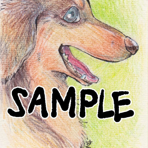 イラストオーダー受付 動物 色鉛筆