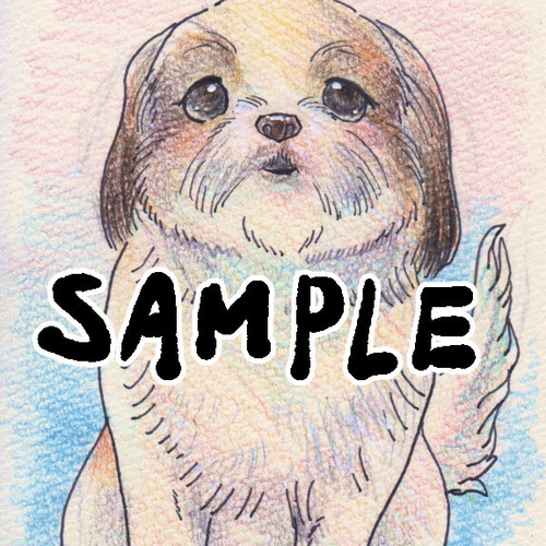 イラストオーダー受付 動物 色鉛筆 イラストオーダー受付 動物 色鉛筆