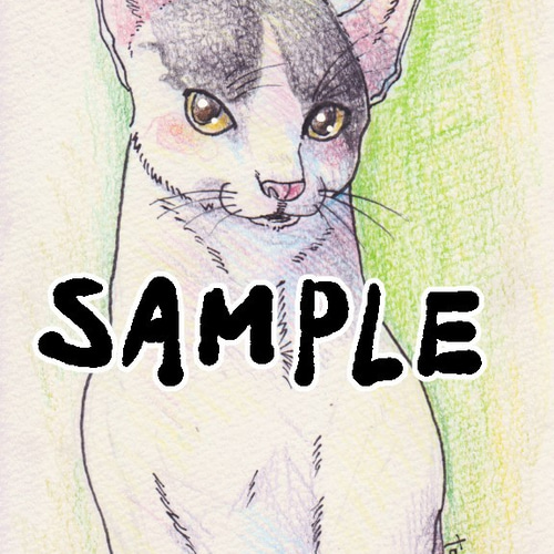 似顔絵イラストオーダー sampleページ♡ 🌷似顔絵オーダー🌷 ¥2,500/上半身1人 ¥2,000/上半身1人追加×3